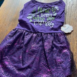 Purple Dog Witch Costume Dress